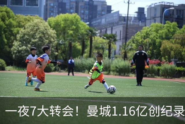 一夜7大转会！曼城1.16亿创纪录，渣叔接手德国队，英超意甲西甲全线大洗牌