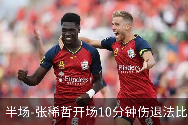 半场-张稀哲开场10分钟伤退法比奥远射造险 北京国安0-0武汉三镇