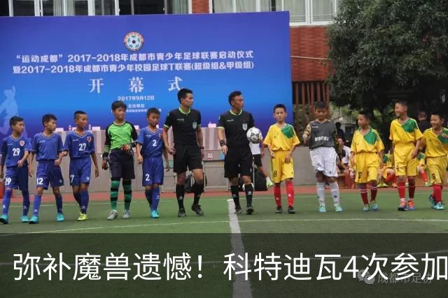 弥补魔兽遗憾！科特迪瓦4次参加世界杯 本届终迎淘汰赛